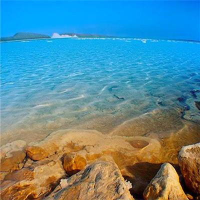 《浪姐7》阵容曝光